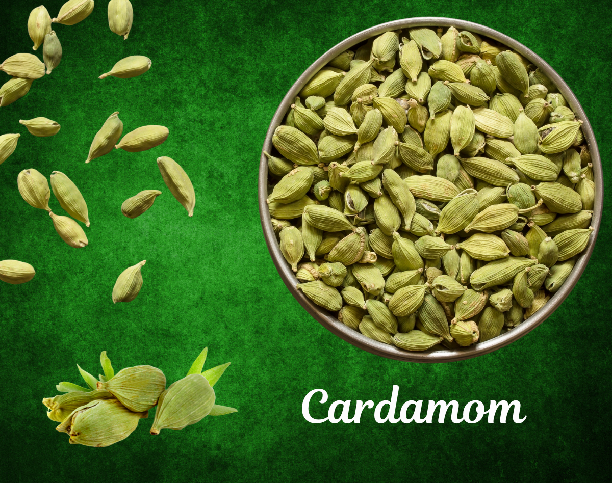 Cardamom 1