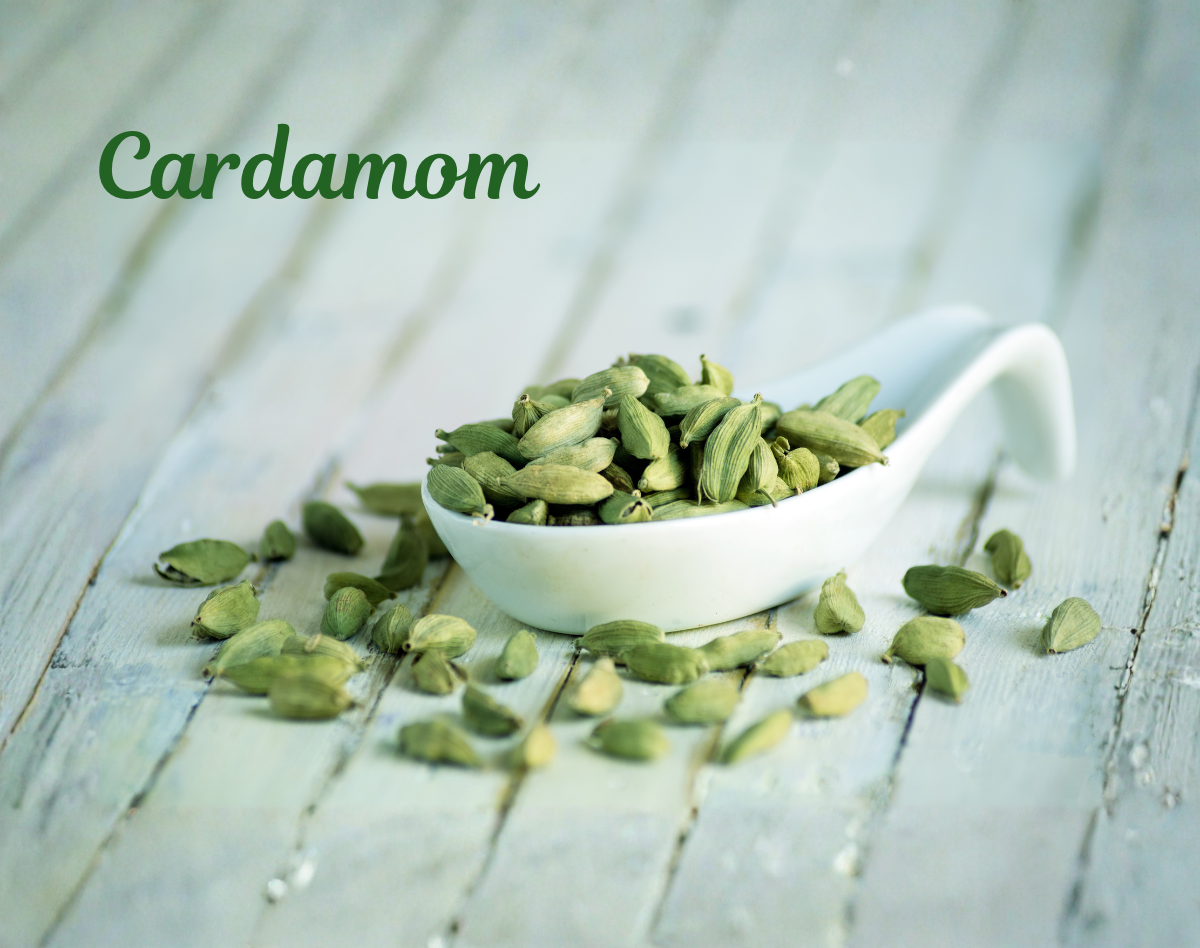 Cardamom 3